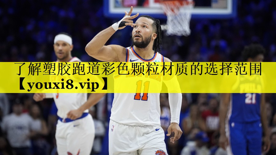 了解塑胶跑道彩色颗粒材质的选择范围