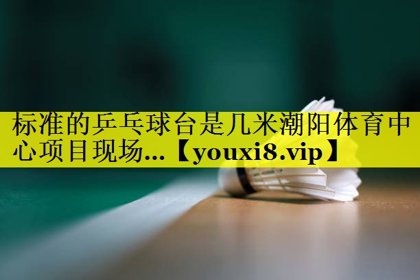 标准的乒乓球台是几米潮阳体育中心项目现场…