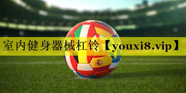 室内健身器械杠铃