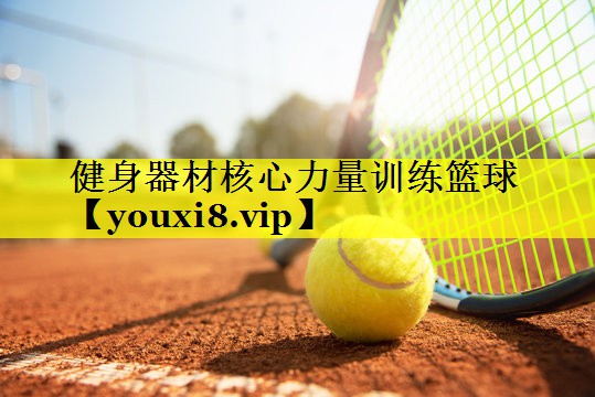 健身器材核心力量训练篮球 健身器材核心力量训练篮球