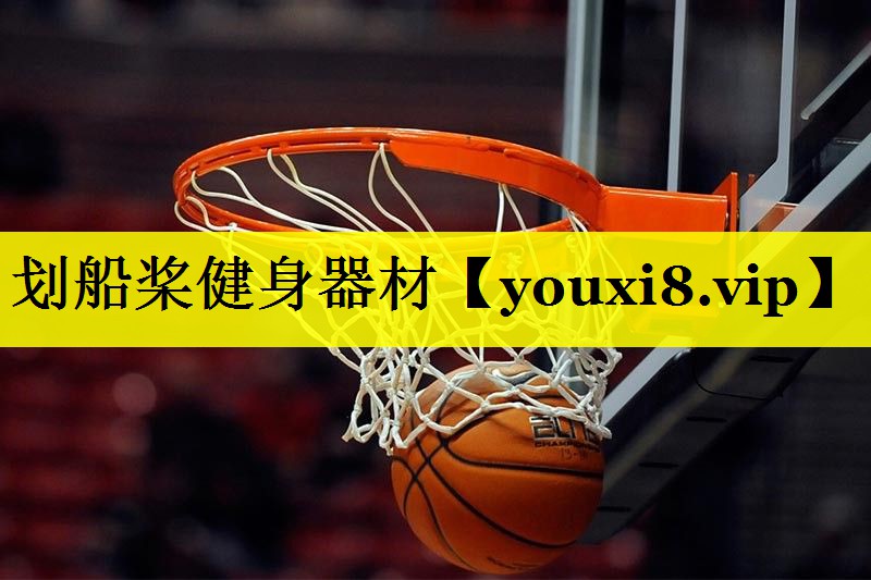 划船桨健身器材 划船桨健身器材