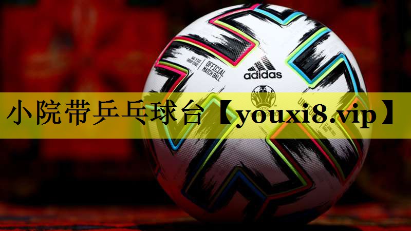 小院带乒乓球台 小院带乒乓球台